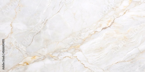 Elegant White Marble Texture. A high-resolution image of a pristine white marble with subtle veins, perfect for showcasing its luxurious texture and pattern.