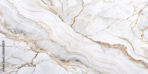 Elegant White Marble Texture. A high-resolution image of a pristine white marble with subtle veins, perfect for showcasing its luxurious texture and pattern. © hobonski