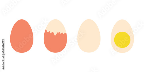 Vector boiled eggs on white background