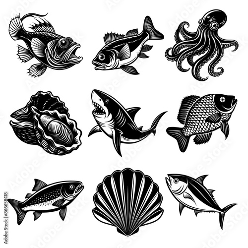 vector, set _ Black and White Illustrations of Sea Creatures and Fish, silhouette illustrations of various sea creatures in hand drawn style