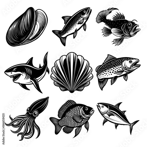 vector, set _ Black and White Illustrations of Sea Creatures and Fish, silhouette illustrations of various sea creatures in hand drawn style