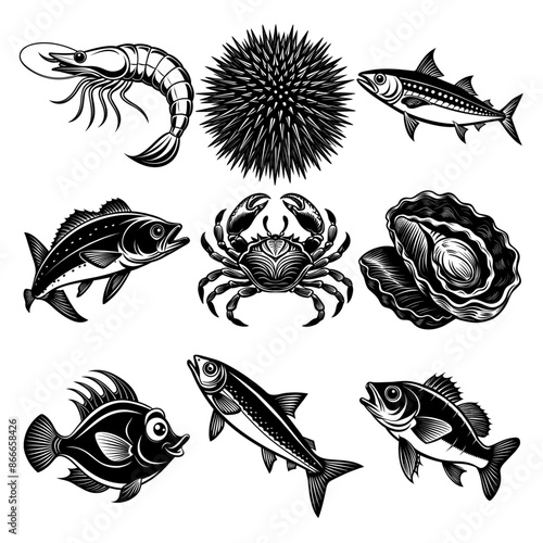vector, set _ Black and White Illustrations of Sea Creatures and Fish, silhouette illustrations of various sea creatures in hand drawn style