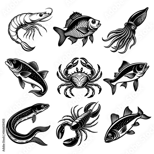vector, set _ Black and White Illustrations of Sea Creatures and Fish, silhouette illustrations of various sea creatures in hand drawn style