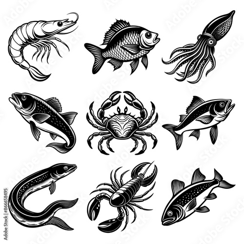 vector, set _ Black and White Illustrations of Sea Creatures and Fish, silhouette illustrations of various sea creatures in hand drawn style