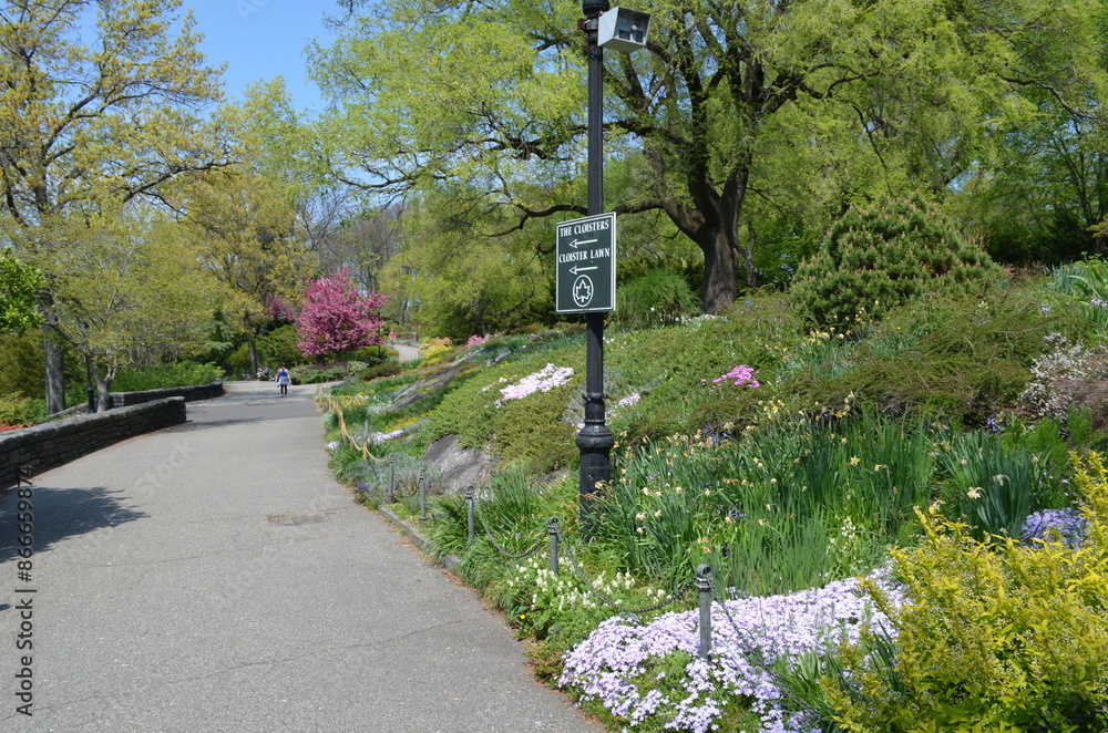 Nowy Jork, ogród, park przy Fort Tryon park, kwiecień