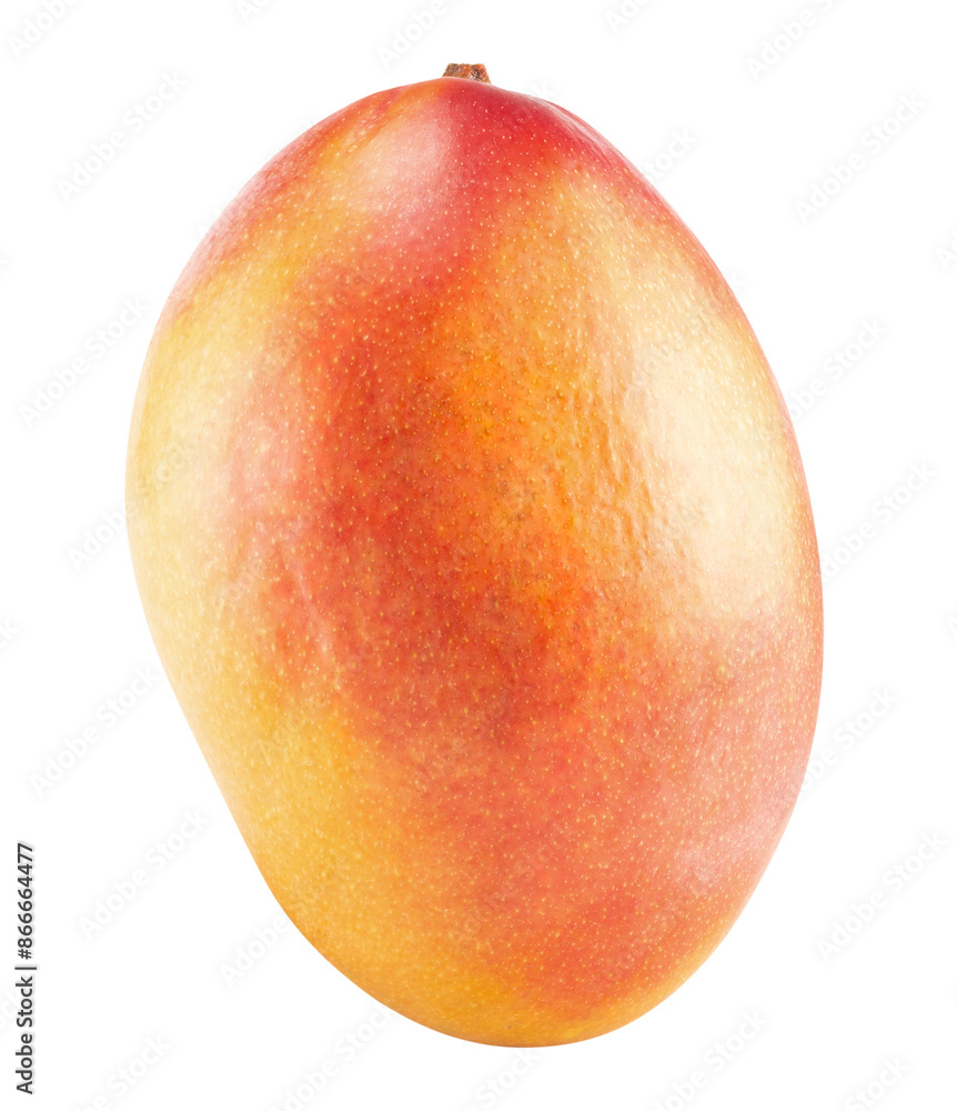 mango isolated on a white background. Clipping path mango isolated on a white background. Clipping path
