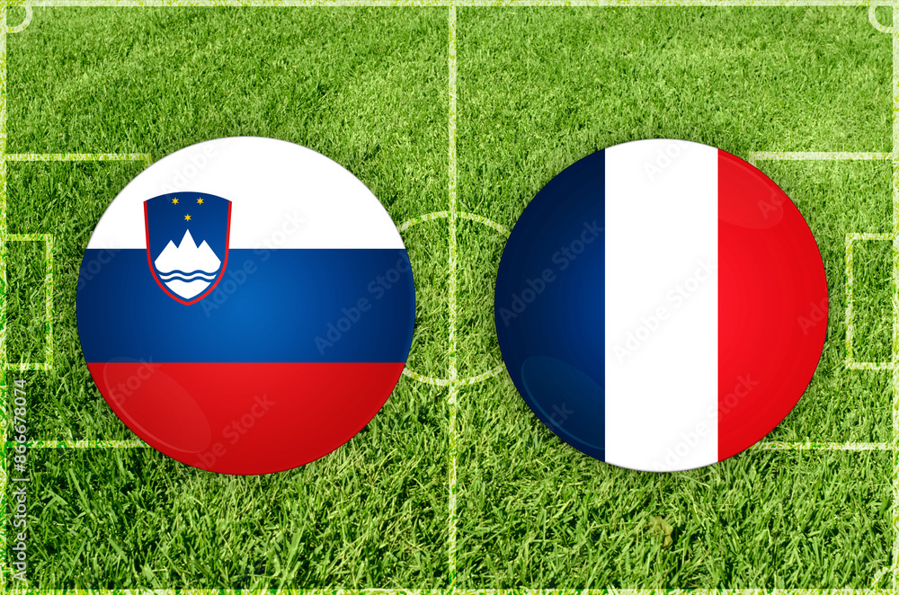 Fototapeta premium Slovenia vs France football match