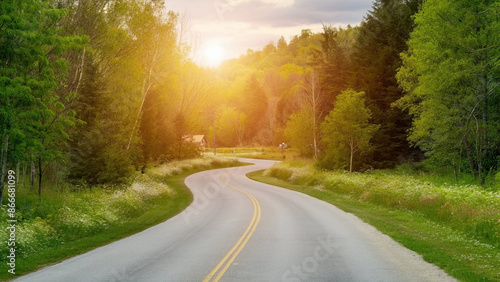 Road through the forest