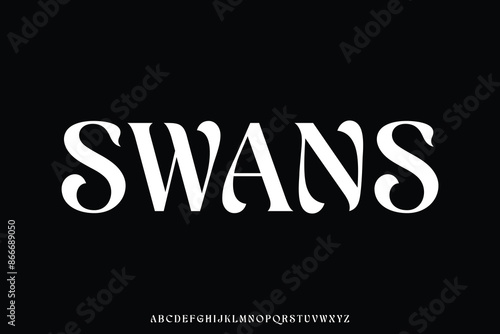 Elegant decorative alphabet display font vector illustration