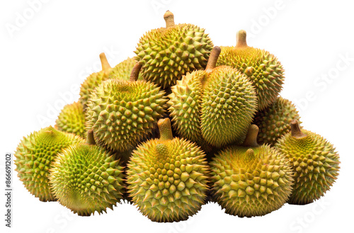 Pile of fresh durians with spiky shells isolated on transparent background