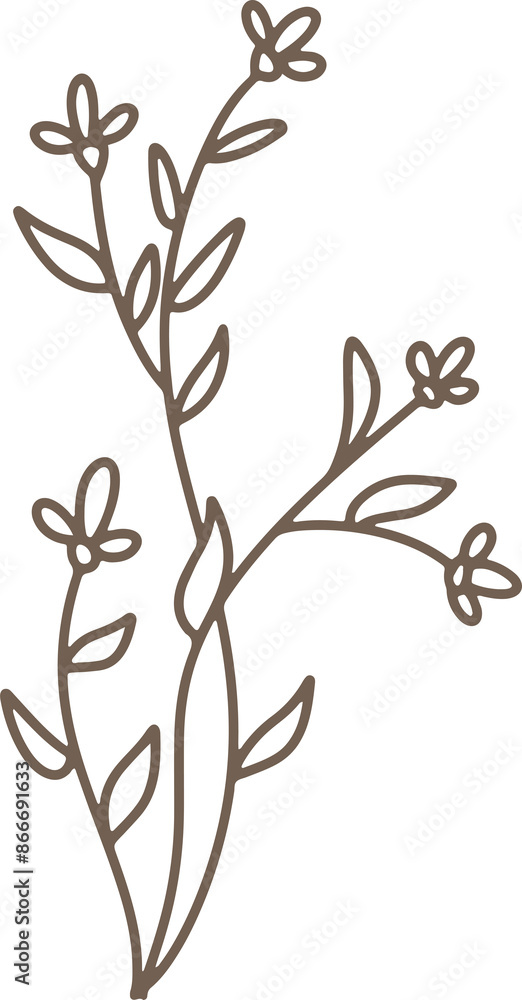 Obraz premium Handdrawn Organic Fern Branches illustration
