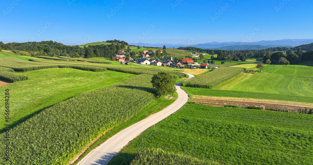 AERIAL: Winding countryside road leads through lush green fields towards village AERIAL: Winding countryside road leads through lush green fields towards village