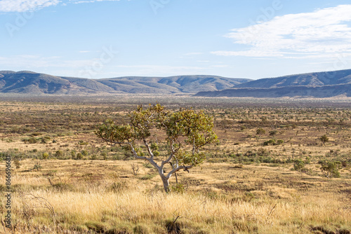 Landscape desert