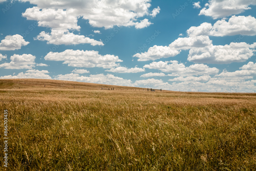 Open field against blue sky in South Dakota Open field against blue sky in South Dakota