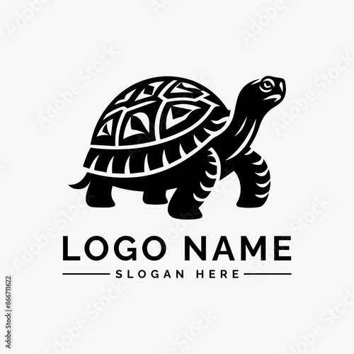 tortoise vector logo