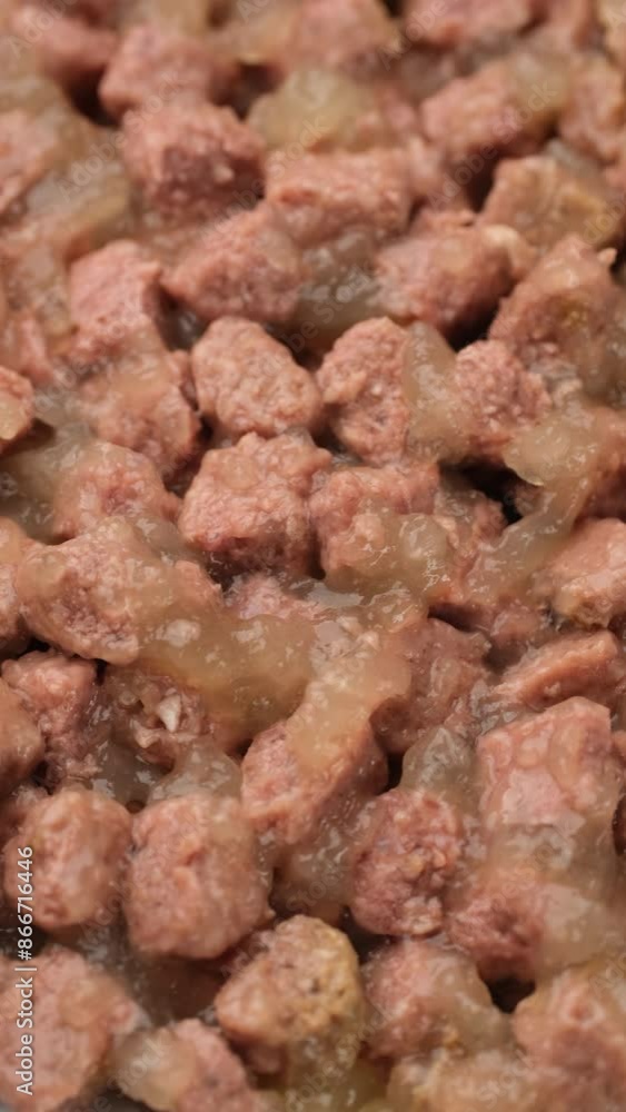 Zoom frame heap of Wet cat or dog food close up, rotation Zoom frame heap of Wet cat or dog food close up, rotation