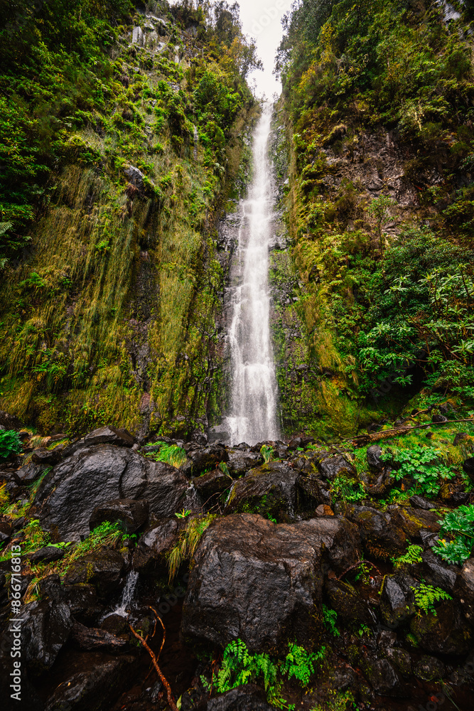 Magical misty green forest with waterfalls do Folhadal in Levada do Norte, Madeira island, Portugal. Magical misty green forest with waterfalls do Folhadal in Levada do Norte, Madeira island, Portugal.