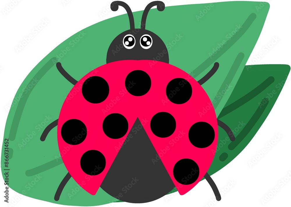 Fototapeta premium 여름 곤충 벌레 무당벌레 일러스트