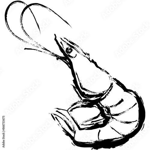 This is a shrimp drawn using ink painting technique