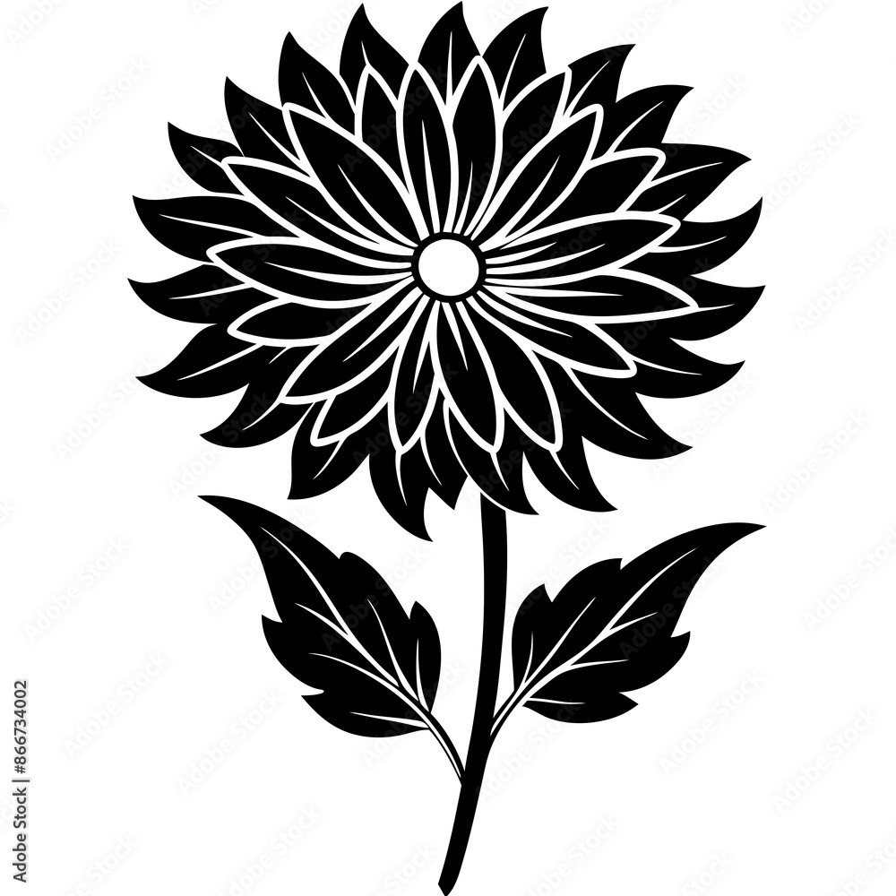 Aster vector illustration Aster vector illustration