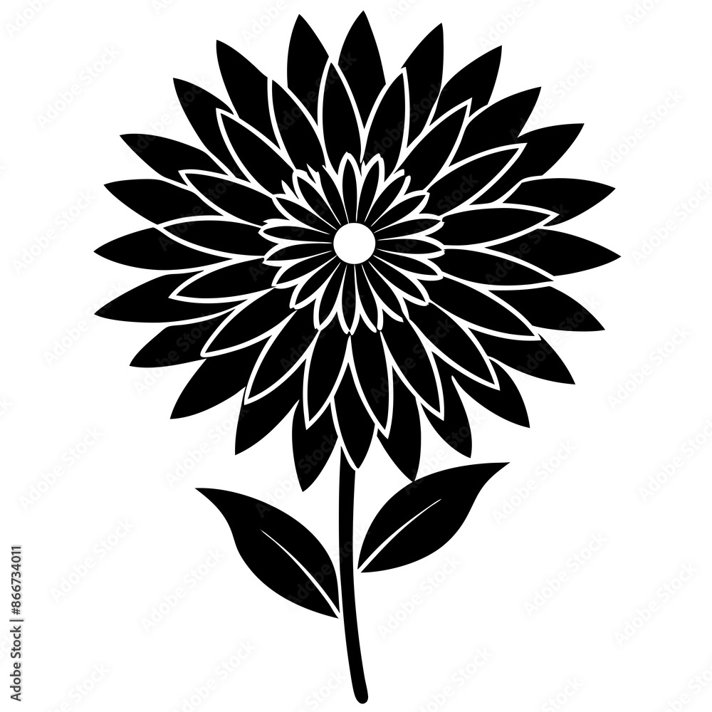 Aster vector illustration Aster vector illustration