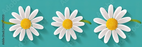 Bright collection of daisies on a turquoise background for design use © Яна Деменишина