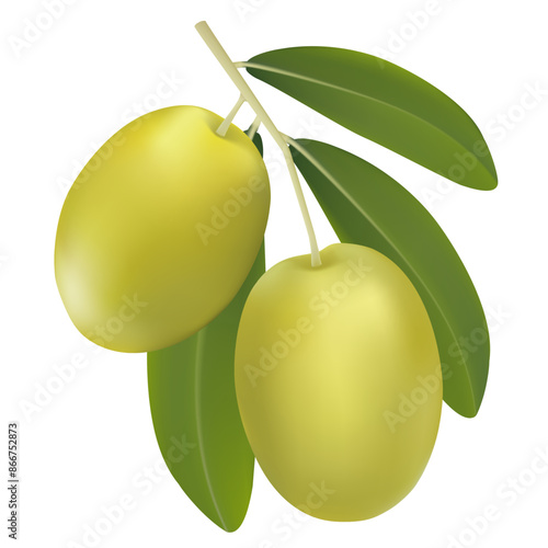 Vector illustration of realistic 3d olive tree branch with green olives isolated on white background. Can be used for advertising, print, banner, poster, packaging. Eps 10.