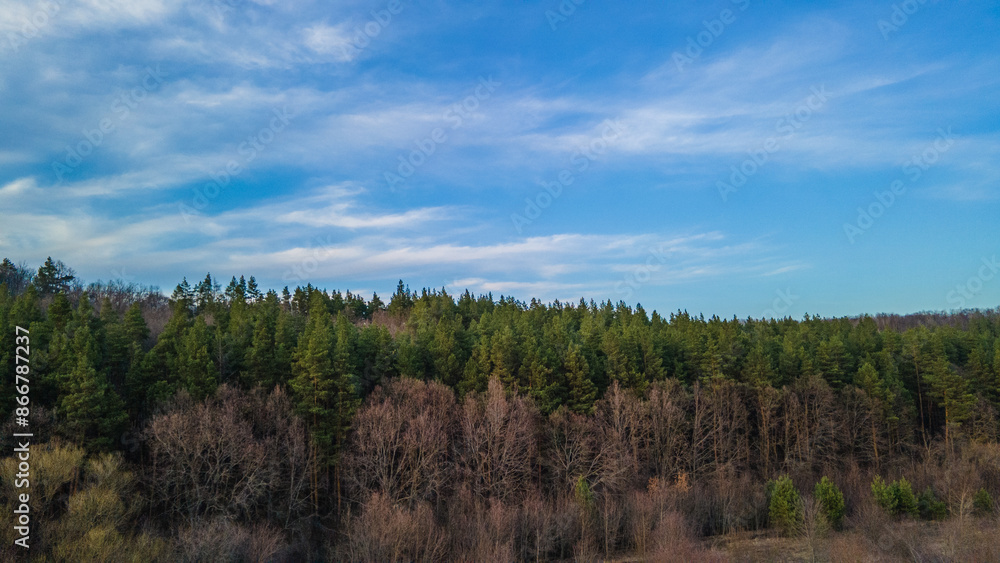 the forest in early spring aerial photography the forest in early spring aerial photography