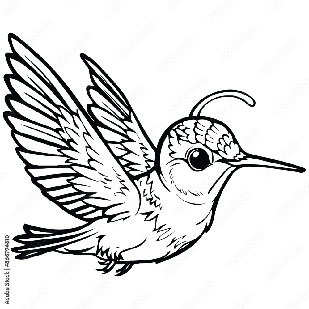 Obraz premium bird vector on a white background