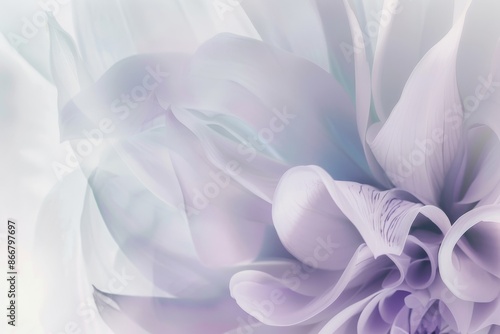 Abstract flower petals.. Floral flower natural design. Graphic, sketch drawing. freesia. Design of albums, notebooks, banners, postcards, posters