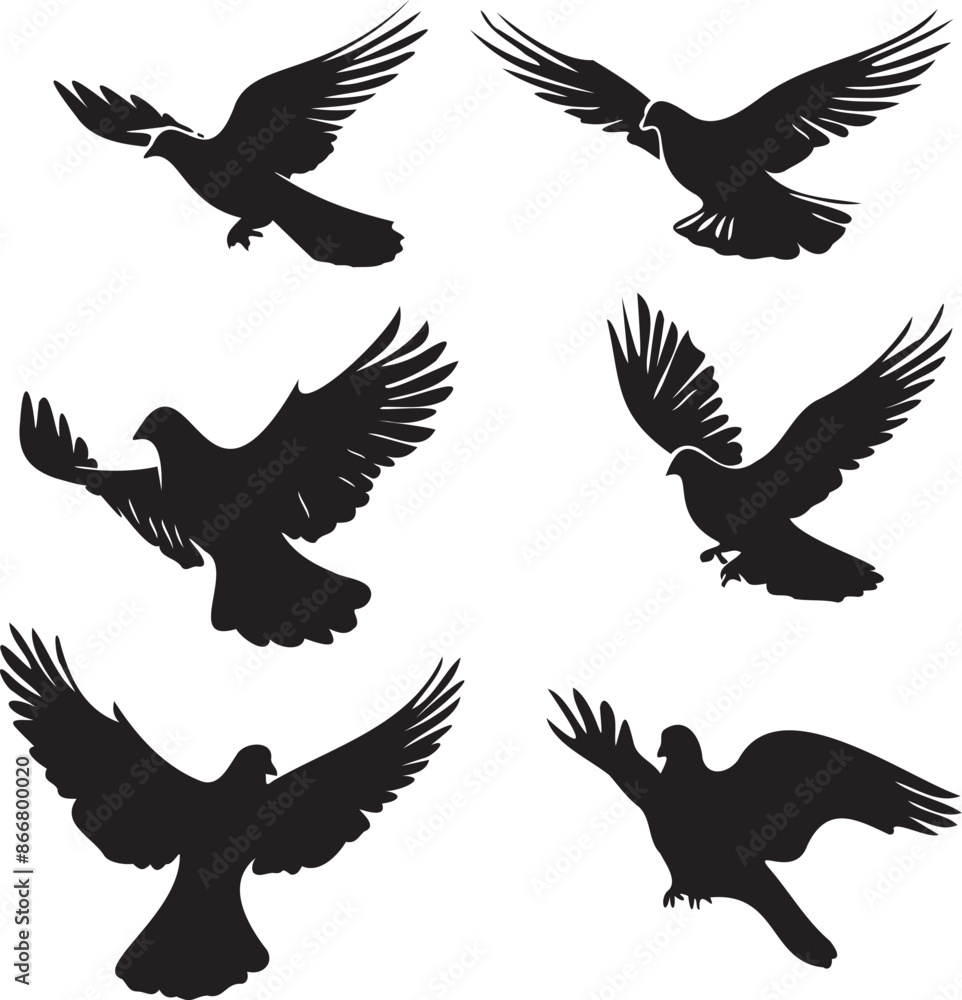 Obraz premium Set of dove flying black silhouette 