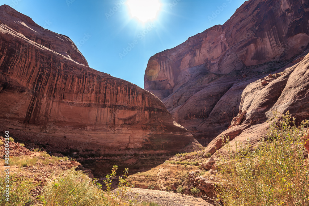 Fototapeta premium Canyon to the Bridge, Rainbow Bridge National Monument, Utah