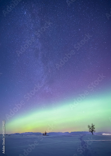 night sky and stars
