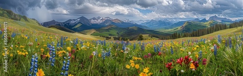 Wildflower Meadow With Rocky Mountains © BrandwayArt