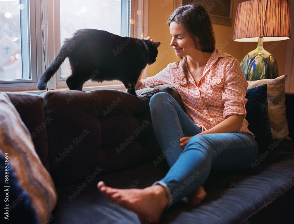 Woman, cat and petting for affection in home, scratch and support animal or companion for love on sofa. Female person, relax and calm in living room to stroke pet, comfortable and loyalty connection Woman, cat and petting for affection in home, scratch and support animal or companion for love on sofa. Female person, relax and calm in living room to stroke pet, comfortable and loyalty connection