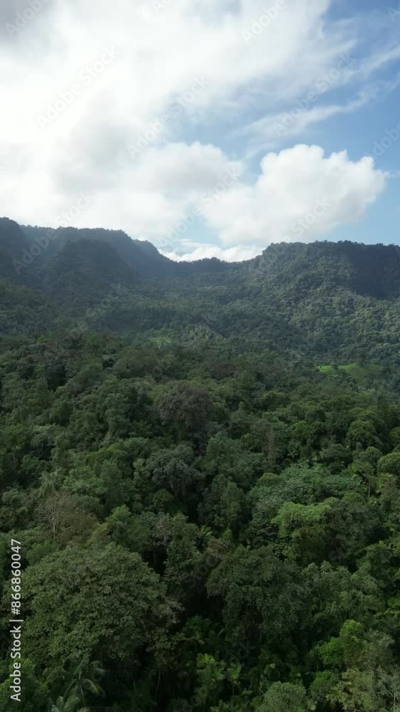 Aerial video over Mindo Cloud Forest, Ecuador Aerial video over Mindo Cloud Forest, Ecuador