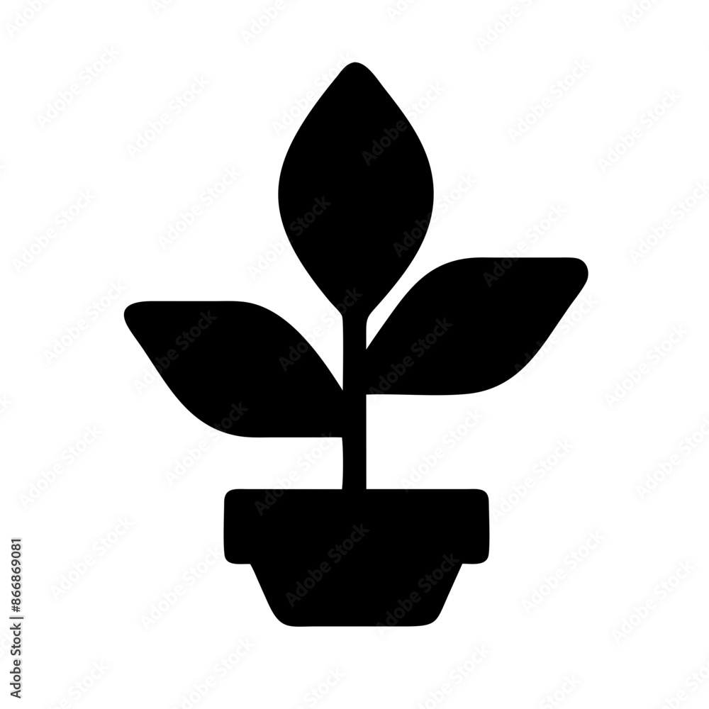 plant plant