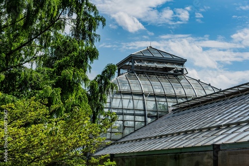 Greenhouse, United States Botanic Garden, Washington DC USA photo