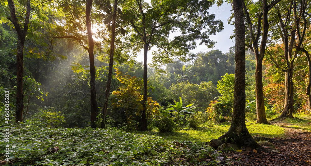 Naklejka premium Autumn nature landscape of colorful forest in morning sunligh