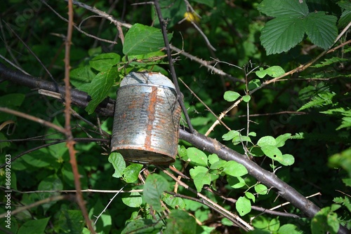 Schilderij op canvas An empty tin can after food, thrown in the bushes in forest