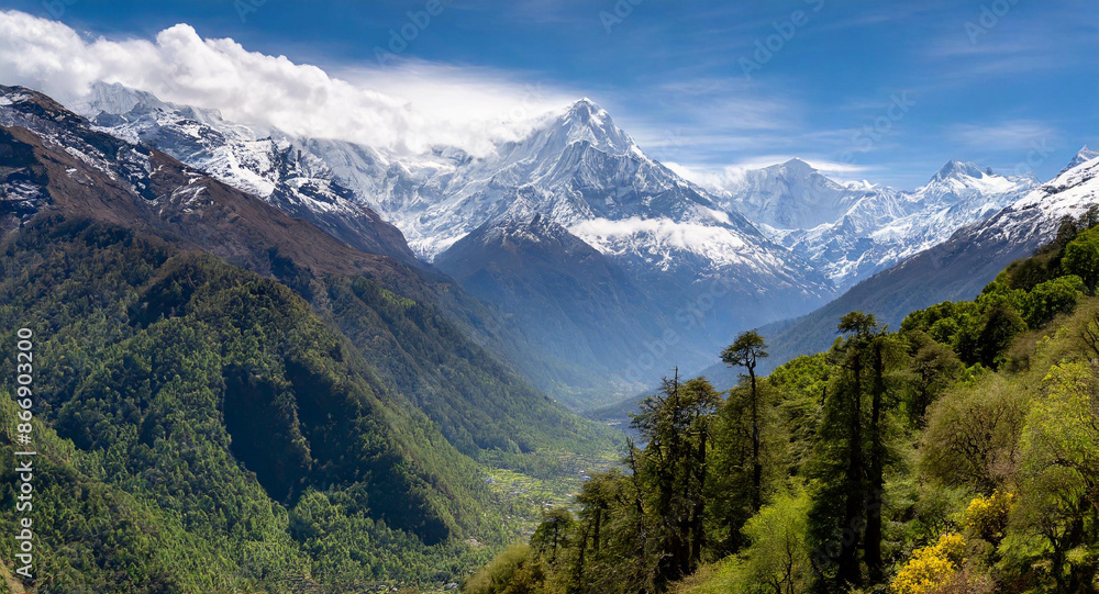 Fototapeta premium lush green himalayan forest and valley with snow mountain view