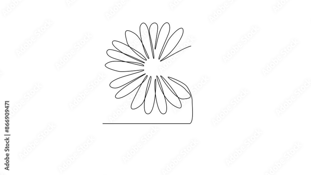 Animated self drawing of Daisy video design illustration. Type of Flowers themes design concept with simple linear style video. Beautiful useful flower design video for wedding or romantic party. Animated self drawing of Daisy video design illustration. Type of Flowers themes design concept with simple linear style video. Beautiful useful flower design video for wedding or romantic party.