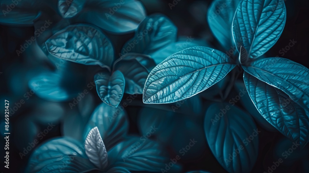 Green tropical plant close-up Green tropical plant close-up