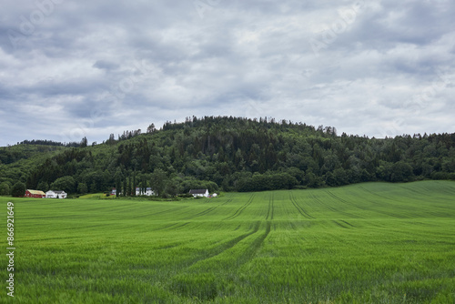 A small farm amidst green meadows, located in central Norway