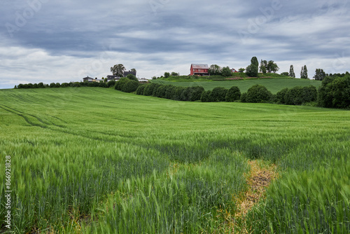 A small farm amidst green meadows, located in central Norway