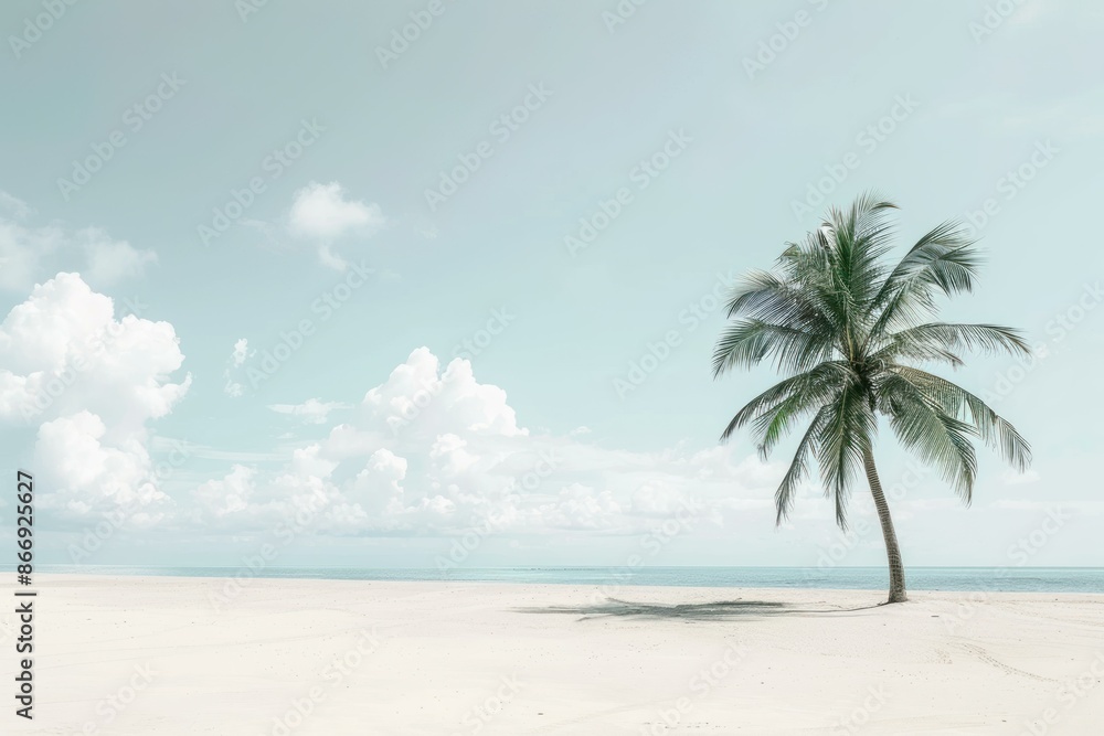 Tranquil scene of a single palm tree on a pristine sandy beach under a clear sky Tranquil scene of a single palm tree on a pristine sandy beach under a clear sky