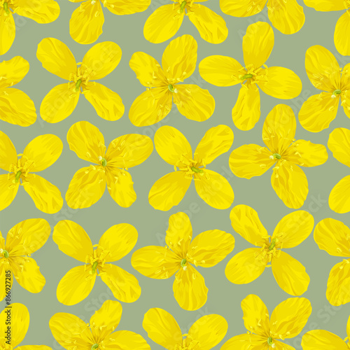 Seamless pattern of yellow celandine flowers on a gray background 