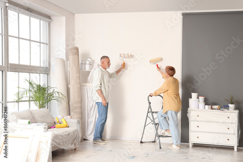 Canvas-taulu Mature couple painting wall during repair in their new house