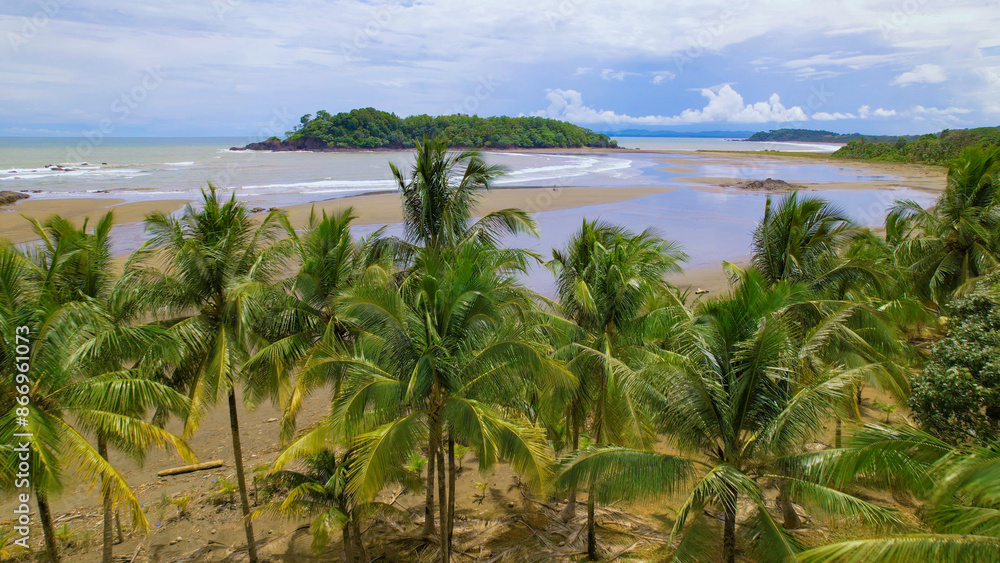 Obraz premium AERIAL: View over coconut palm trees to beautiful sandy beach by Pacific Ocean