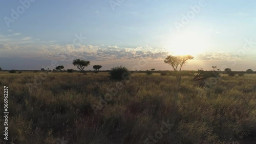 Green Kalahari Drone Dolly Forward Wide